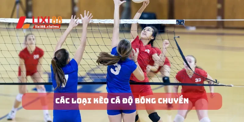 Các loại kèo cá độ bóng chuyền