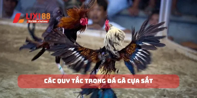 Các quy tắc trong đá gà cựa sắt